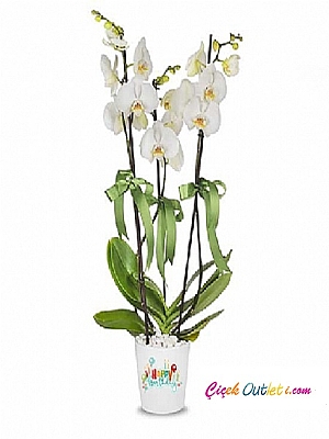 Ki�iye �zel Happy Birthday Orkide Beyaz 3 dal